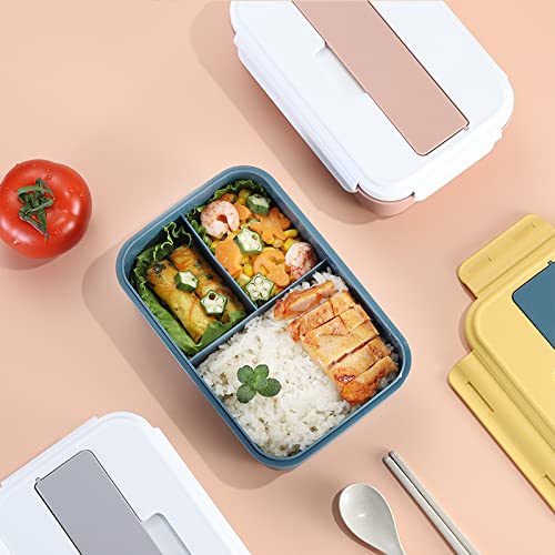 Reusable eco-friendly lunch box packed in retail box ready for gifting